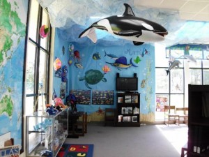 BASF Science - Marine Biology